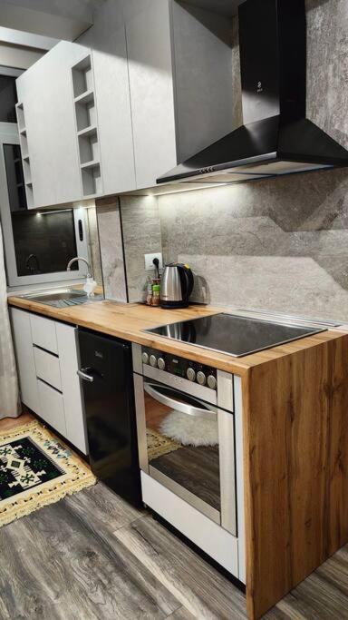 Nana Vicino Cattedrale Apartament Szkodra