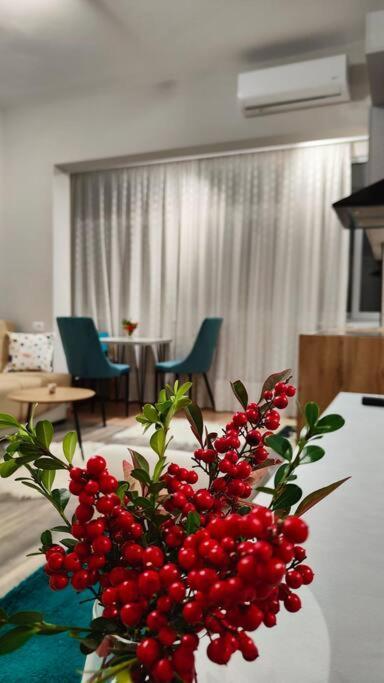 Nana Vicino Cattedrale Apartament Szkodra